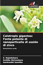 Calotropis gigantea: Fonte potente di nanoparticelle di ossido di zinco