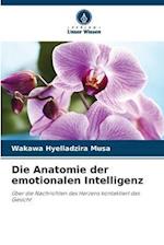 Die Anatomie der emotionalen Intelligenz