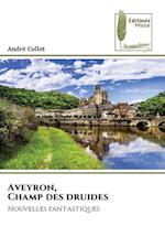 Aveyron, Champ des druides