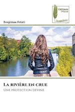 La rivière en crue