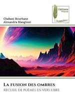 La fusion des ombres