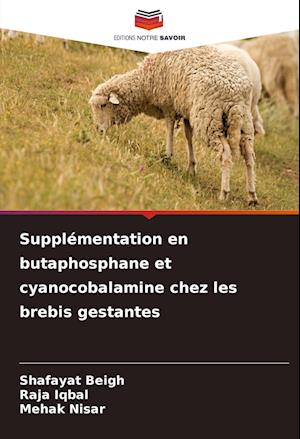 Supplémentation en butaphosphane et cyanocobalamine chez les brebis gestantes