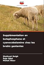 Supplémentation en butaphosphane et cyanocobalamine chez les brebis gestantes