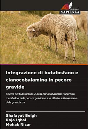 Integrazione di butafosfano e cianocobalamina in pecore gravide