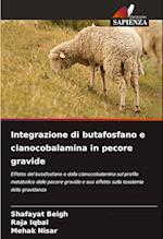 Integrazione di butafosfano e cianocobalamina in pecore gravide