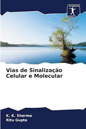 Vias de Sinalização Celular e Molecular