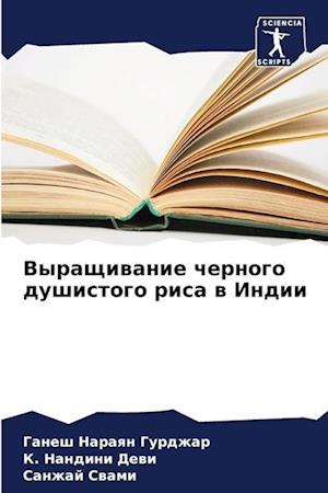 Vyraschiwanie chernogo dushistogo risa w Indii