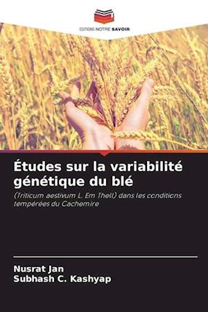 Études sur la variabilité génétique du blé