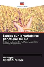 Études sur la variabilité génétique du blé