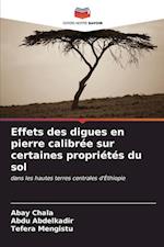 Effets des digues en pierre calibrée sur certaines propriétés du sol