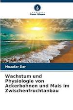 Wachstum und Physiologie von Ackerbohnen und Mais im Zwischenfruchtanbau