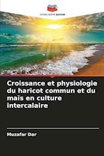 Croissance et physiologie du haricot commun et du maïs en culture intercalaire