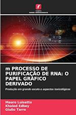 m PROCESSO DE PURIFICAÇÃO DE RNA: O PAPEL GRÁFICO DERIVADO