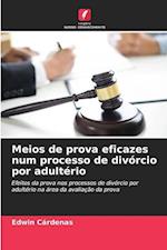 Meios de prova eficazes num processo de divórcio por adultério