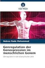 Genregulation der Genexpression im menschlichen Genom