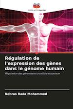 Régulation de l'expression des gènes dans le génome humain