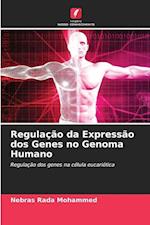 Regulação da Expressão dos Genes no Genoma Humano