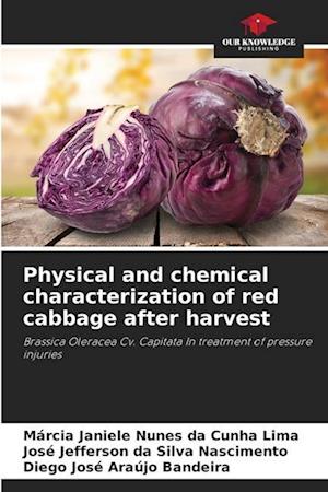 Physical and chemical characterization of red cabbage after harvest