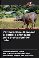 L'integrazione di sapone di calcio e aminoacidi sulle prestazioni dei bufali