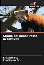 Studio del panda rosso in cattività