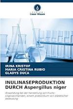 INULINASEPRODUKTION DURCH Aspergillus niger