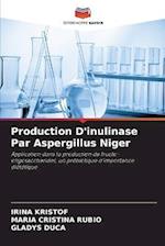 Production D'inulinase Par Aspergillus Niger