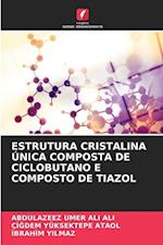 ESTRUTURA CRISTALINA ÚNICA COMPOSTA DE CICLOBUTANO E COMPOSTO DE TIAZOL