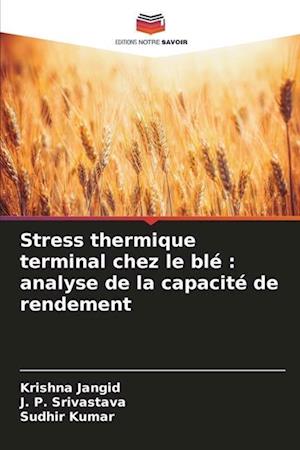 Stress thermique terminal chez le blé : analyse de la capacité de rendement