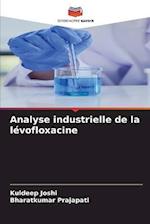 Analyse industrielle de la lévofloxacine