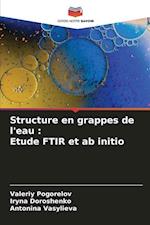 Structure en grappes de l'eau : Etude FTIR et ab initio