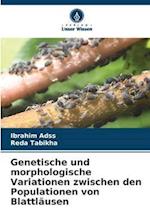 Genetische und morphologische Variationen zwischen den Populationen von Blattläusen