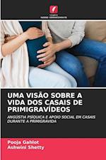 UMA VISÃO SOBRE A VIDA DOS CASAIS DE PRIMIGRAVÍDEOS