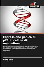 Espressione genica di p21 in cellule di mammifero