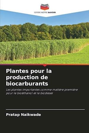 Plantes pour la production de biocarburants