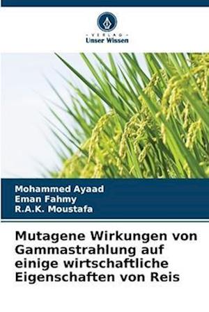 Mutagene Wirkungen von Gammastrahlung auf einige wirtschaftliche Eigenschaften von Reis