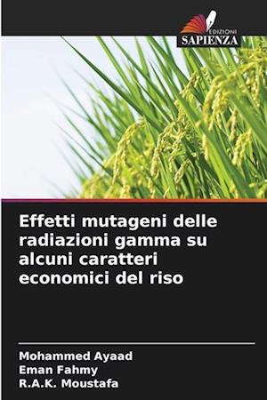 Effetti mutageni delle radiazioni gamma su alcuni caratteri economici del riso