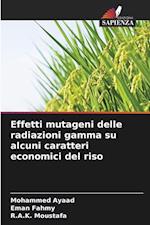 Effetti mutageni delle radiazioni gamma su alcuni caratteri economici del riso