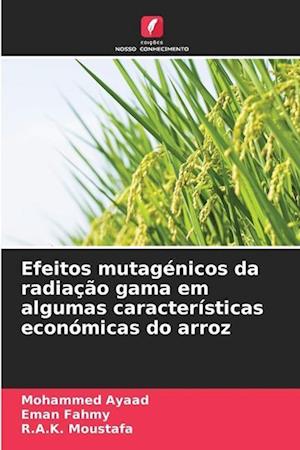 Efeitos mutagénicos da radiação gama em algumas características económicas do arroz