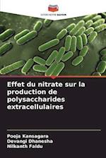 Effet du nitrate sur la production de polysaccharides extracellulaires