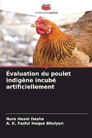 Évaluation du poulet indigène incubé artificiellement