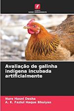 Avaliação de galinha indígena incubada artificialmente