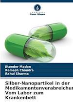 Silber-Nanopartikel in der Medikamentenverabreichung: Vom Labor zum Krankenbett