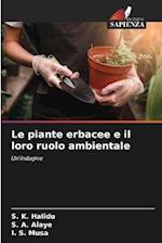 Le piante erbacee e il loro ruolo ambientale