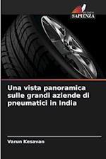 Una vista panoramica sulle grandi aziende di pneumatici in India