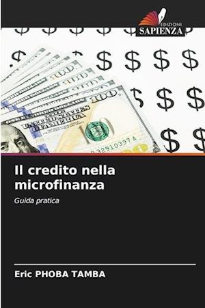 Il credito nella microfinanza