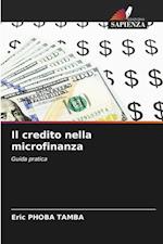 Il credito nella microfinanza