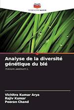 Analyse de la diversité génétique du blé