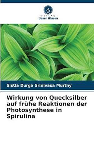 Wirkung von Quecksilber auf frühe Reaktionen der Photosynthese in Spirulina