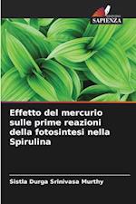 Effetto del mercurio sulle prime reazioni della fotosintesi nella Spirulina