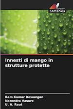 Innesti di mango in strutture protette